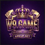 V9 Game