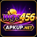 WGS456 Game